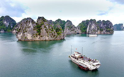 Консультации